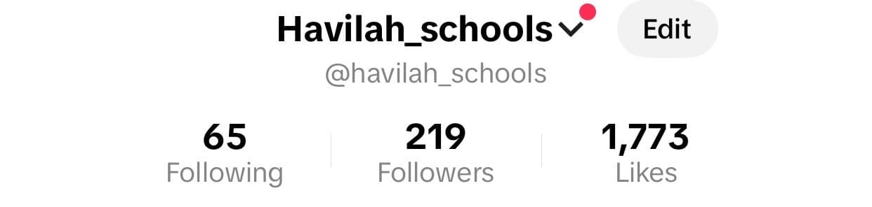 Havilah Schools TikTok profile showing 219 followers and 1,773 likes