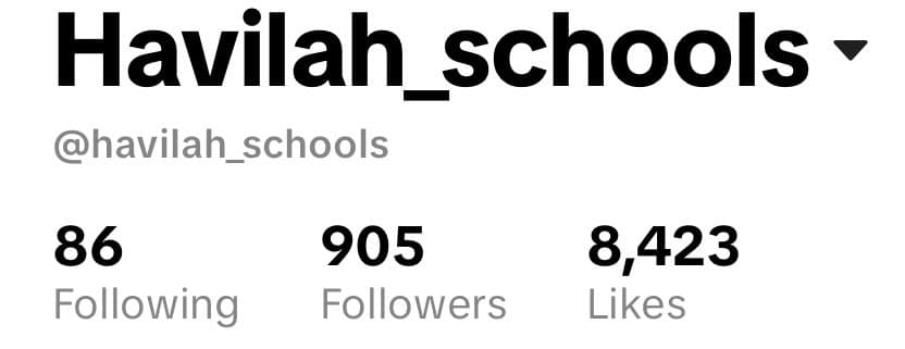 Havilah Schools TikTok profile showing 905 followers and 8,423 likes
